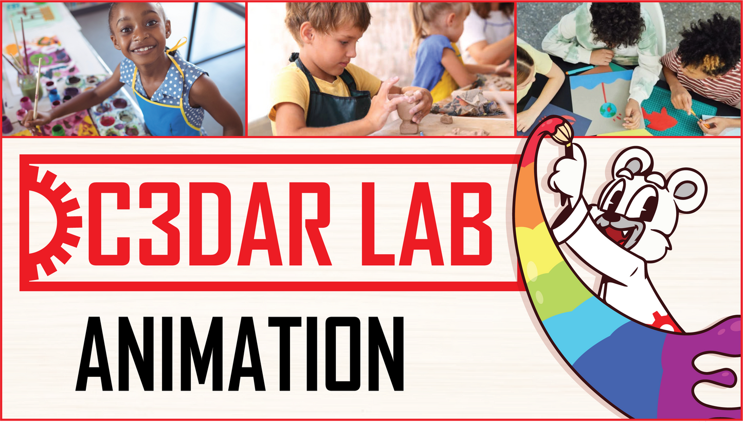 Animation - Ages 9- 14 Years old