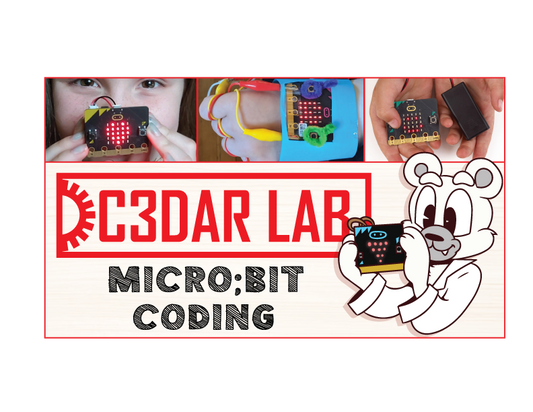 Micro:Bit Coding ( 9 - 14 Years Old)