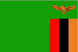 Zambia Flag Sticker, Express Yourself with our Unique Vinyl Stickers for Laptops, Tablets, and More!