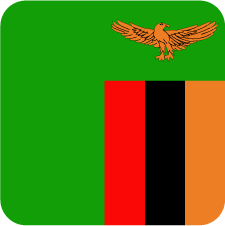 Zambia Flag Sticker, Express Yourself with our Unique Vinyl Stickers for Laptops, Tablets, and More!