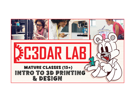 Mature Student (age 15+) - Intro to 3D Printing & Design