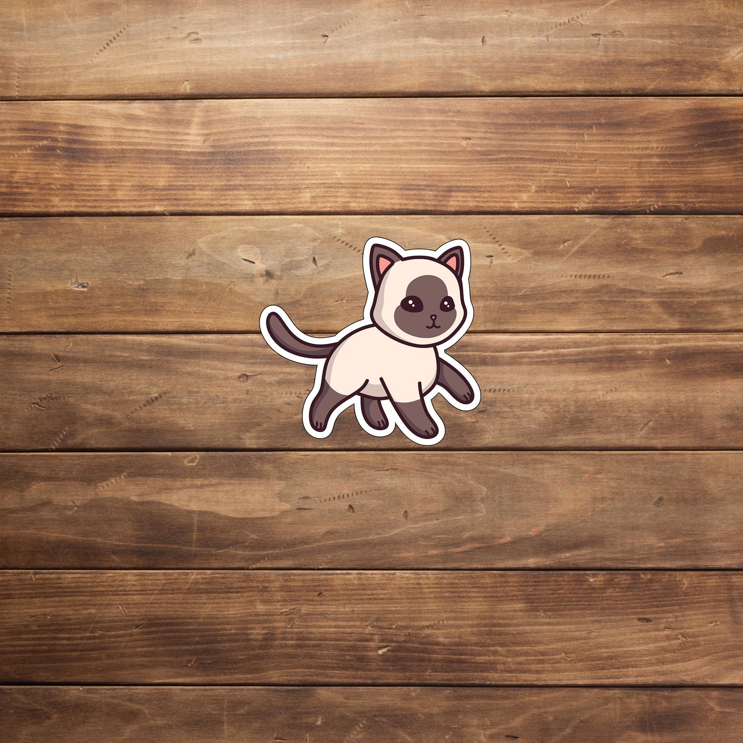 Cat  Sticker