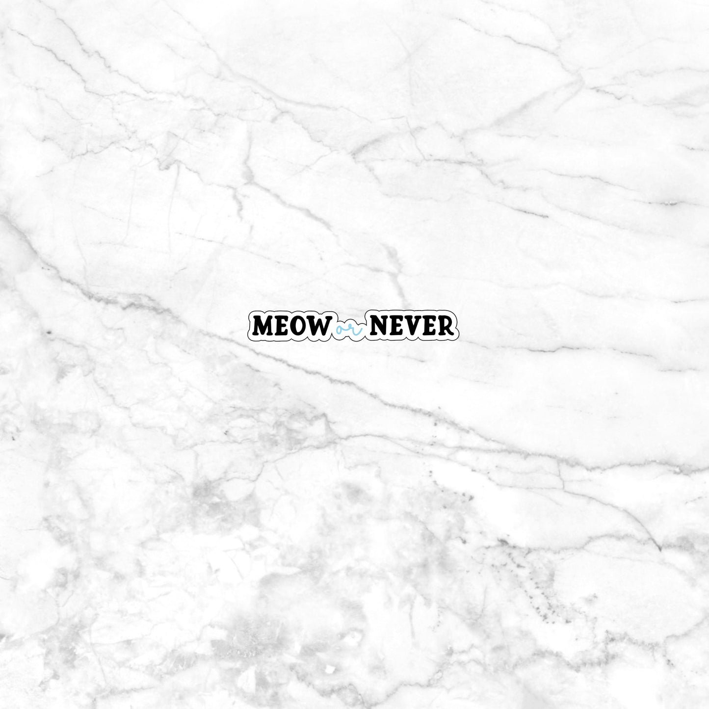 Meow or Never Sticker