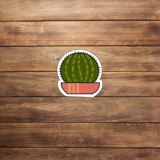 Cactus Sticker ,  Vinyl sticker,  laptop sticker